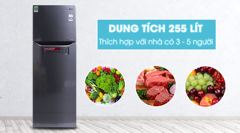 Tủ lạnh LG Inverter 255 lít GN-L255PS